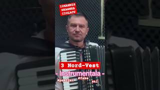 Iohannis Dragnea Ciolacu instrumentala pamflet iumor ai guvern romania politics news music [upl. by Notlrak]