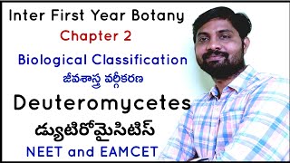 Deuteromycetes  డ్యుటిరోమైసిటిస్  Biological Classification  జీవశాస్త్ర వర్గీకరణ [upl. by Kerad]