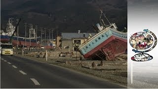 Fukushima Today 8 years after the Earthquake [upl. by Liebowitz]