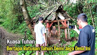 Kuasa Tuhan Ditemukan Orang Bertapa Ratusan Tahun Di Bawah Pohon [upl. by Melmon]