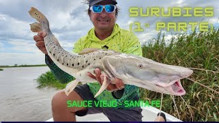 PESCA INCREIBLE EN Sauce Viejo 1º parte [upl. by Maharg]