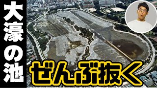 大濠公園の池の水全部抜いたときの話をします！ [upl. by Gertrude254]