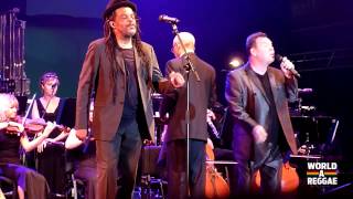 UB40  Kingston Town  Reggae Sundance 2014 NL [upl. by Lein]