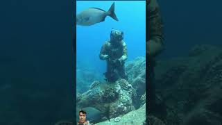 diving spearfish underwater spearfishinglife fishing hawaian scubadiving spearfishingworld [upl. by Beebe]