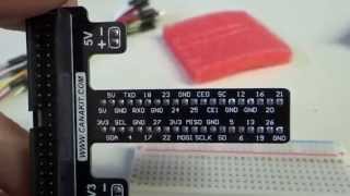 Connecting the breadboard to the Rpi [upl. by Peer]