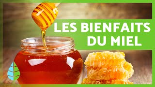 8 BIENFAITS incroyables du MIEL 🍯✅ Quels sont les bienfaits du miel [upl. by Martha]