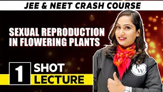 Sexual Reproduction In Flowering Plants  One Shot Lecture  CHAMPION  NEET CRASH COURSE 2022 [upl. by Elisee]