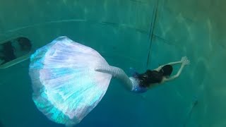 Real mermaid tail extended betta fish [upl. by Ayahs]