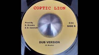 DIGGORY KENRICK  The Lion Flute  Dub Version [upl. by Lettie]