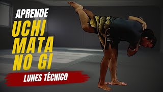 UCHI MATA NOGI efectivo hasta para MMA  Lunes Técnico [upl. by Kwasi]