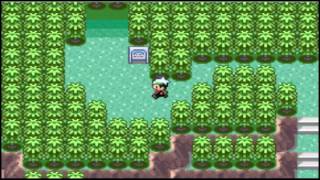 Pokemon Emerald  Part 11 Catching all 12 Legendaries [upl. by Lorena864]