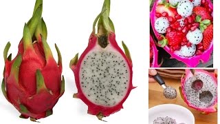 6 Ways To Eat Dragon Fruit [upl. by Kcirredal]