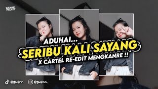 DJ ADUHAI  SERIBU KALI SAYANG  IKLIM  Epann Project Remix [upl. by Mirelle980]