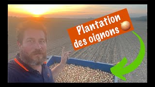 Plantation oignon 2024 au top 🧅 [upl. by Yenot]