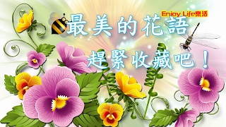 【Enjoy Life 樂活】最美的花語送花要知道的花語 [upl. by Neelsaj]