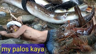 PART5 HANDS CATCHING PALOS KASILI OR IGAT BIG SHRIMP ☺️😊 [upl. by Anade]