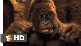 Dolittle 2020  Gorilla vs Tiger Scene 710  Movieclips [upl. by Zales]