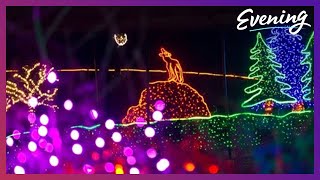 Zoolights celebrates 35 years of brightening the holidays in Tacoma [upl. by Davon]