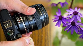 Fullframe images on Canon EOS M Viltrox EFEOS M2 071x Adaptor review [upl. by Muhcan202]