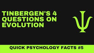 Tinbergen’s 4 questions on Evolution [upl. by Sidnarb439]