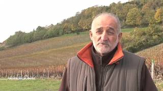 Reportage  Paysages Sancerre [upl. by Gaivn]