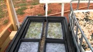 Soilless Wicking Bed Aquaponics [upl. by Lazar545]