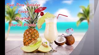 Two Pina Coladas Garth Brooks  Cover [upl. by Anis515]