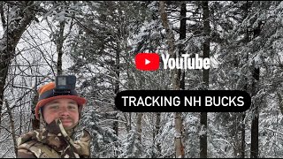 Tracking a big buck in fresh snow  Pittsburgh New Hampshire [upl. by Ojimmas672]