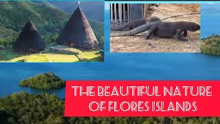 FLORES ISLAND [upl. by Giraud]