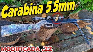 Carabina de pressão 55mm modificada pra munição 22lr tiro a 30m [upl. by Ricardama991]