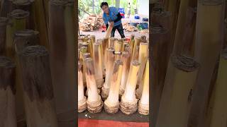 Edible Young Coconut Tree in Vietnam  Coconut Tree Cutting Skills [upl. by Engapmahc]