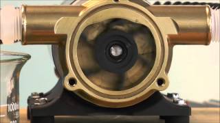 How a Jabsco Flexible Impeller Pump Works [upl. by Vittorio]