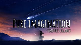 Pure Imagination  Timothée Chalamet  Lyrics music [upl. by Eronel]