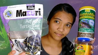 HOW TO FEED TURTLES  The Basics  Turtle 101 [upl. by Nale]