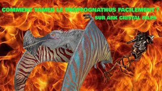 COMMENT TAMER LE TROPEOGNATHUS FACILEMENT SUR ARK CRISTAL ISLES [upl. by Moyers]