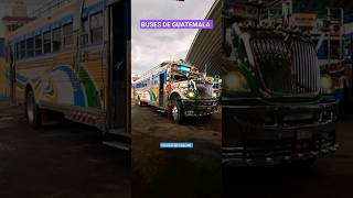 AUTOBUSES DE GUATEMALA feedshorts buses guatemala suscribete [upl. by Oniotna]