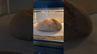 100 Whole Wheat No Knead Artisanal Bread recipe without eggs BAKING BREAD shorts viral [upl. by Mohun965]