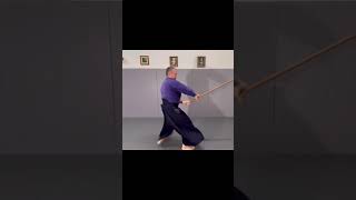 Aikido weapon power Full tutorial below [upl. by Eimerej367]