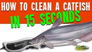 How To Clean A Catfish In 15 Seconds [upl. by Renelle97]