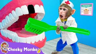 Go To The Dentist 👨‍⚕️ Dentis Song  Cheeky Monkey  Nursery Rhymes amp Kids Songs [upl. by Annoerb490]