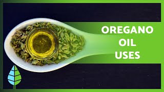 OREGANO OIL 🌿💚 PROPERTIES USES CONTRADICTIONS and more [upl. by Ahterahs779]