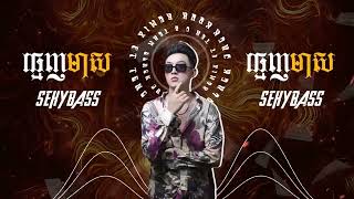 LaCimaCartel  ធ្មេញមាស 2024 SexyBass ft Kour Remix [upl. by Aliekahs]