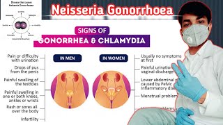 Neisseria Gonorrhoeae in hindi  neisseria gonorrhoeae lab diagnosis  Sexually Transmitted diseases [upl. by Dareece947]