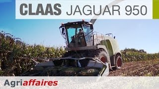 Ensileuse CLAAS Jaguar 950 [upl. by Boyce]