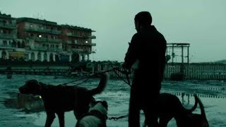 Dogman  Trailer español HD [upl. by Elinad39]