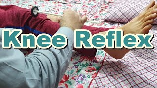 How to Do Knee  Patellar Reflex  Knee Jerk  Deep Tendon Reflexes  L2 L3 L4 Spinal Segments [upl. by Durkee192]