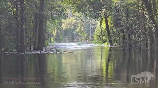 08092024 Effingham County GA  Flooding Inundates Neighborhoods  Okeechee River Flooding [upl. by Audra]