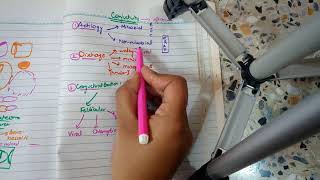 BACTERIAL CONJUNCTIVITIS part 1 MUCOPURULENT CONJUNCTIVITIS in easiest way [upl. by Esiocnarf]