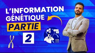 Unité 2 Génétique information génétique 🧬 Partie 2 [upl. by Salomo]