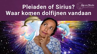 Pleiaden of Sirius Waar komen dolfijnen vandaan [upl. by Alraep]